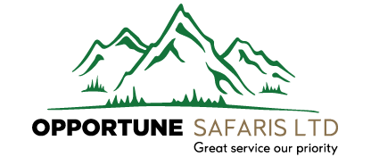 Opportune Safaris