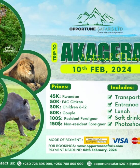 1 Day Akagera National Park Trip