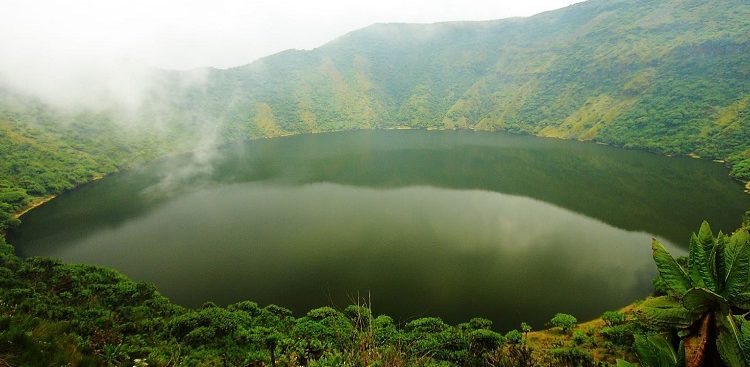 1-Day Hiking Mount Bisoke to Crater Lake in Volcanoes National Park