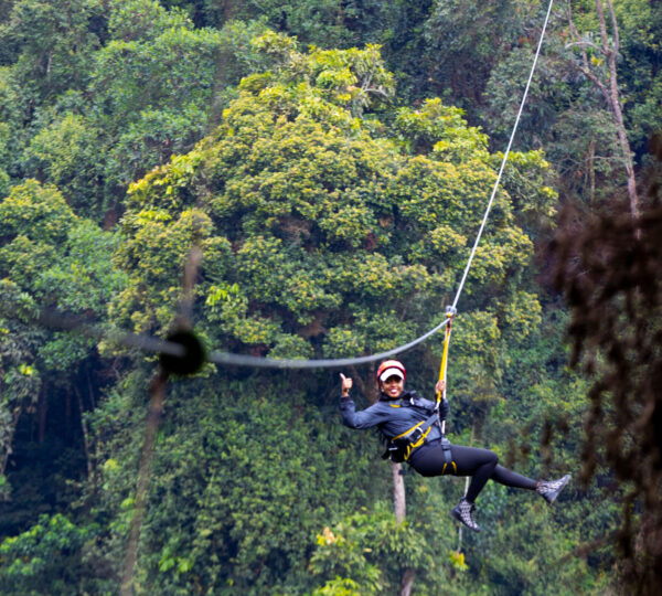 Nyungwe National Park