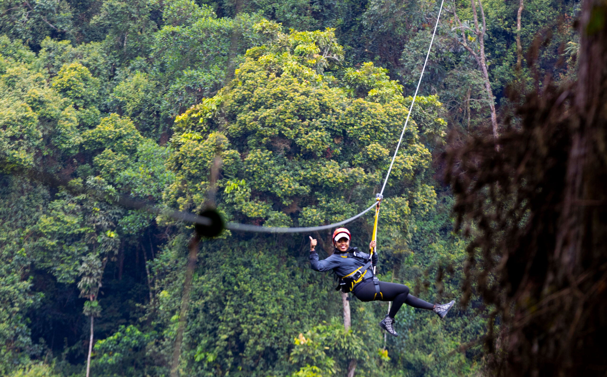 Nyungwe National Park