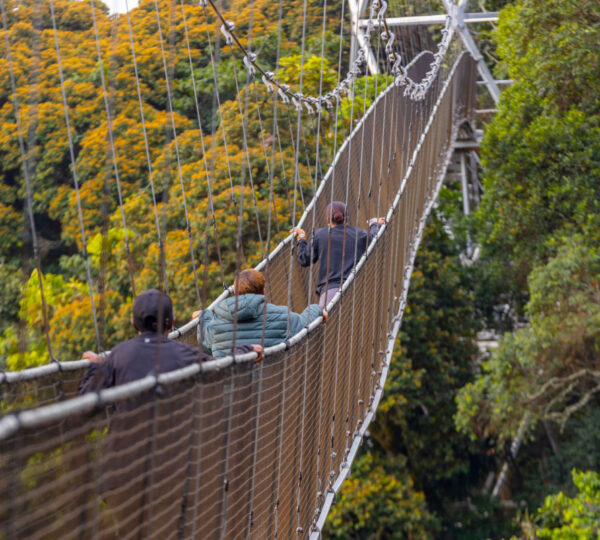 Nyungwe National Park